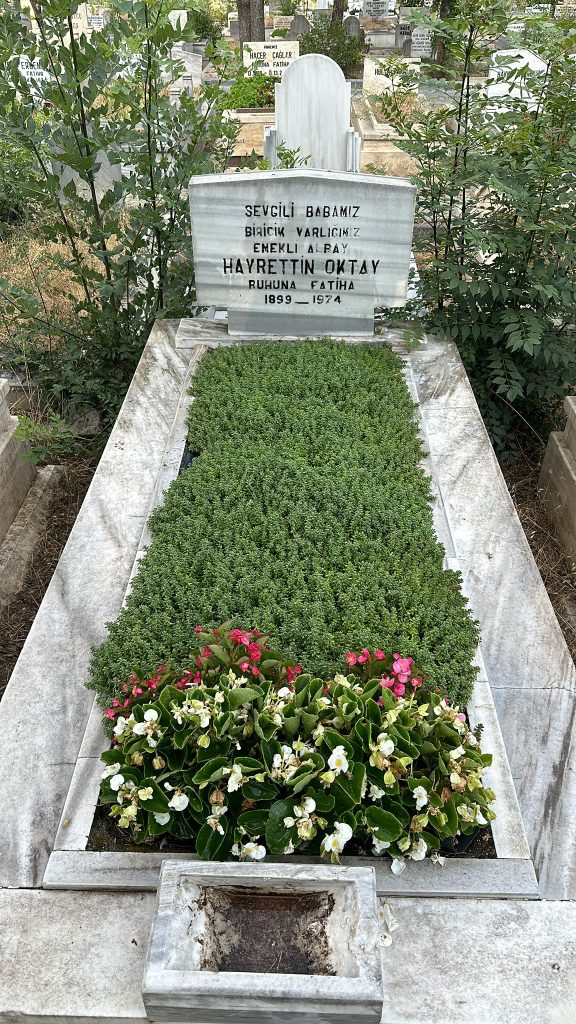 goktugmezar-01 (11)