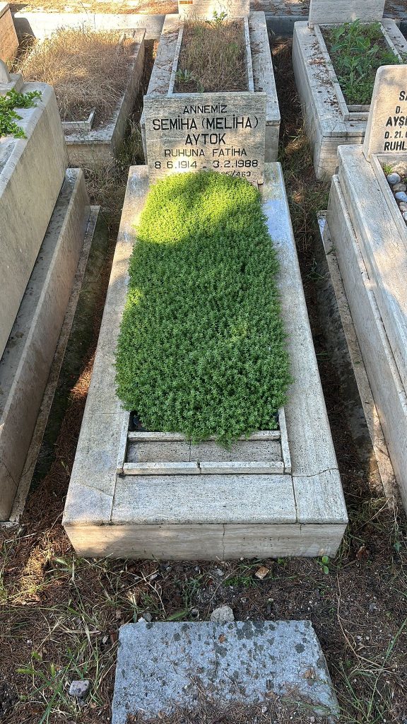 goktugmezar-01 (27)