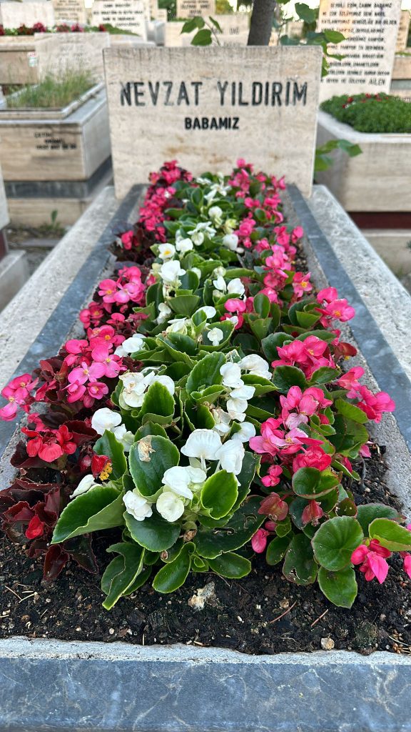 goktugmezar-01 (28)