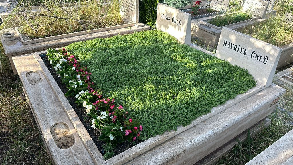 goktugmezar-01 (32)