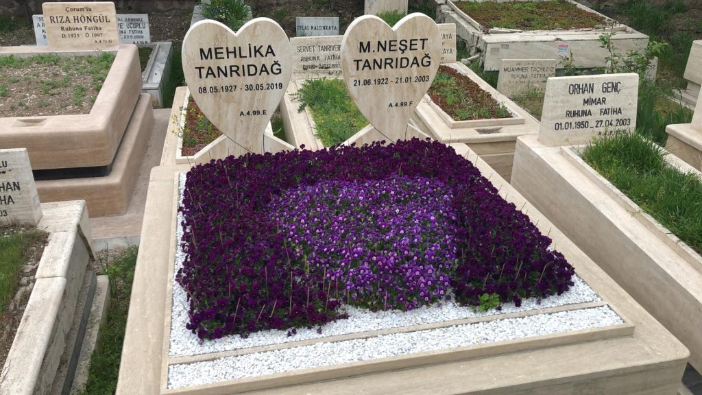 goktugmezar-01 (35)