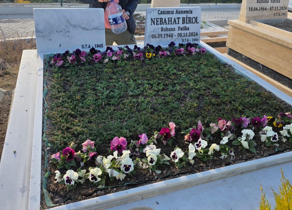 goktugmezarbakim (24)